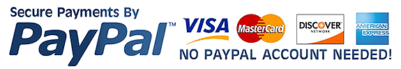 Paypal payment